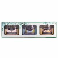 Candle-Lite 'Vacation' Scented Candle Set - 3 Pieces