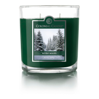 Colonial Candle 'Winter Woods' 2 Wicks Candle