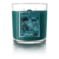 Colonial Candle 'Blue Spruce' 2 Wicks Candle - 296 g