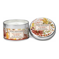 Michel Design Works 'Fall Leaves & Flowers' Candle - 113 g