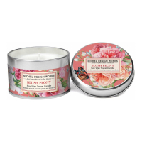 Michel Design Works 'Blush Peony' Candle - 113 g