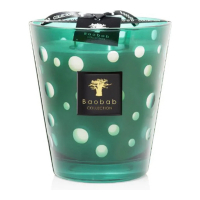 Baobab Collection 'Bubbles Green' Scented Candle