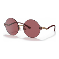Dolce & Gabbana 'DG226962-X' Sonnenbrillen für Damen