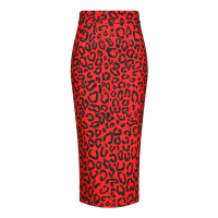 Dolce & Gabbana Jupe crayon 'Leopard' pour Femmes
