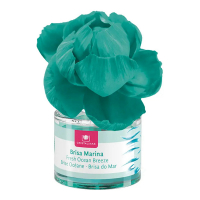 Cristalinas 'Scented Flower 0%' Lufterfrischer - Meeresbrise 40 ml