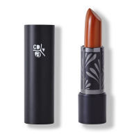 Absolution 'Le Sorbet Sweet & Safe' Lipstick - 14 Brun de Mars 4 g