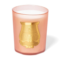 Cire Trudon 'Tuileries' Candle - 70 g