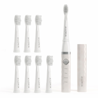 Ailoria 'Flash Travel USB Sonic' Electric Toothbrush Set - 10 Pieces
