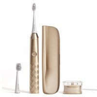 Ailoria 'Shine Bright USB Sonic Limited Edition' Electric Toothbrush Set - 5 Pieces