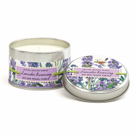 Michel Design Works 'Lavender Rosemary' Candle - 113 g