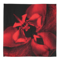 Alexander McQueen 'Floral' Halstuch für Damen