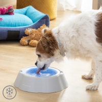 Innovagoods Freshty Cooling Pet Water Bowl