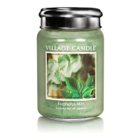 Village Candle Duftende Kerze - Eucalyptus Mint 600 g