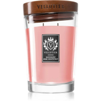 Vellutier 'Succulent Pink Grapefruit Exclusive Large' Duftende Kerze - 1.4 Kg