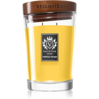 Vellutier 'Tropical Voyage Exclusive Large' Scented Candle - 1.4 Kg