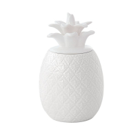 Easy Life Pineapple-Shaped Jar 9x9x15cm in Porcelain in Color Box