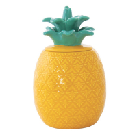 Easy Life Pineapple-Shaped Jar 11x11x18cm in Porcelain in-Green Color Box