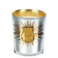 Cire Trudon 'Altaïr Oud And Rose' Candle - 270 g