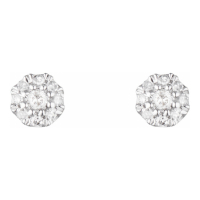 Diamond & Co 'Idylle' Ohrringe für Damen
