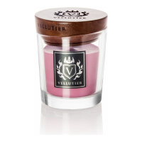Vellutier Bougie parfumée 'Aged Bourbon & Plum Small Exclusive' - 370 g