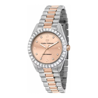 Chiara Ferragni Women's 'R1953100504' Watch