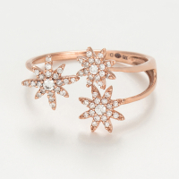 Atelier du diamant Women's 'Bouquet Glacé' Ring