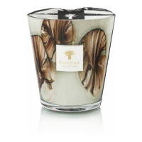 Baobab Collection 'Oceania Anangu Max 16' Scented Candle - 2.3 Kg
