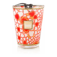 Baobab Collection 'Crazy Love Max 24' Scented Candle - 5.2 Kg