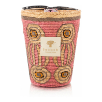 Baobab Collection 'Doany Ilafy Max 24' Scented Candle - 5.2 Kg