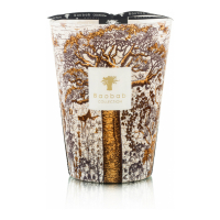 Baobab Collection 'Sacred Trees Dualla' Scented Candle - 5.3 Kg