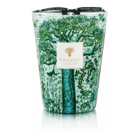 Baobab Collection 'Sacred Trees Kamalo Max 24' Scented Candle - 5.2 Kg
