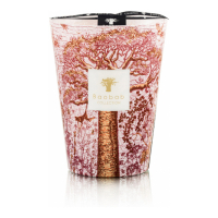 Baobab Collection 'Sacred Trees Woroba Max 24' Scented Candle - 5.2 Kg