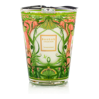 Baobab Collection 'Tomorrowland Max 24' Scented Candle - 5.2 Kg