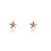 Emily Westwood Women's 'Star' Earrings