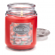 'Apple Picking' Scented Candle - 510 g