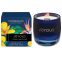 'Verbena & Spiced Woods' Scented Candle - 210 g