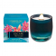 'White Tea & Mint' Scented Candle - 210 g