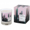 'Cactus' Candle - 190 g