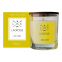'Dark Amber' Scented Candle - 200 g