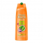'Fructis Goodbye Damage' Shampoo - 300 ml
