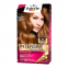Teinture pour cheveux 'Palette Intensive' - 7.5 Caramel Golden Blonde