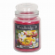 'Tropical Fruits' Scented Candle - 565 g