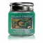 'Cardamon & Cypress' Scented Candle - 454 g