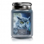 'Wizard's Owl' Scented Candle - 737 g
