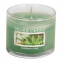 Scented Candle - Eucalyptus Mint 102 g