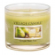 Scented Candle - Ginger Pear Fizz 102 g