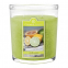 'Colonial Ovals' Scented Candle - Citrus Woods 623 g