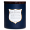 'Dark Forest' Scented Candle - 425 g
