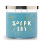 'Spark Joy' Duftende Kerze - 411 g