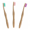 'Bamboo' Toothbrush Case - 3 Pieces